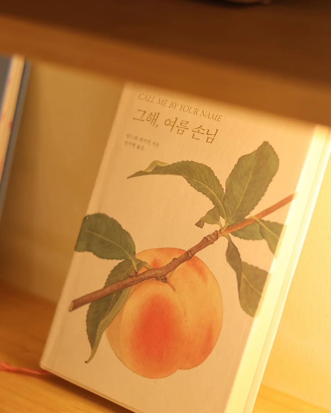 컵건조대 4