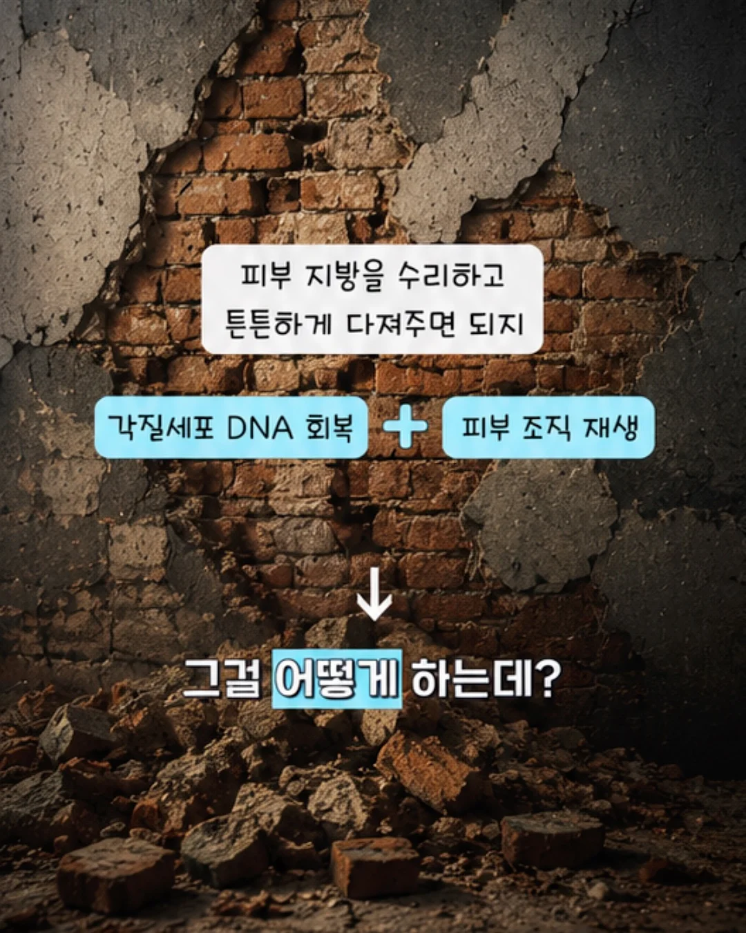 화병꽂이 4