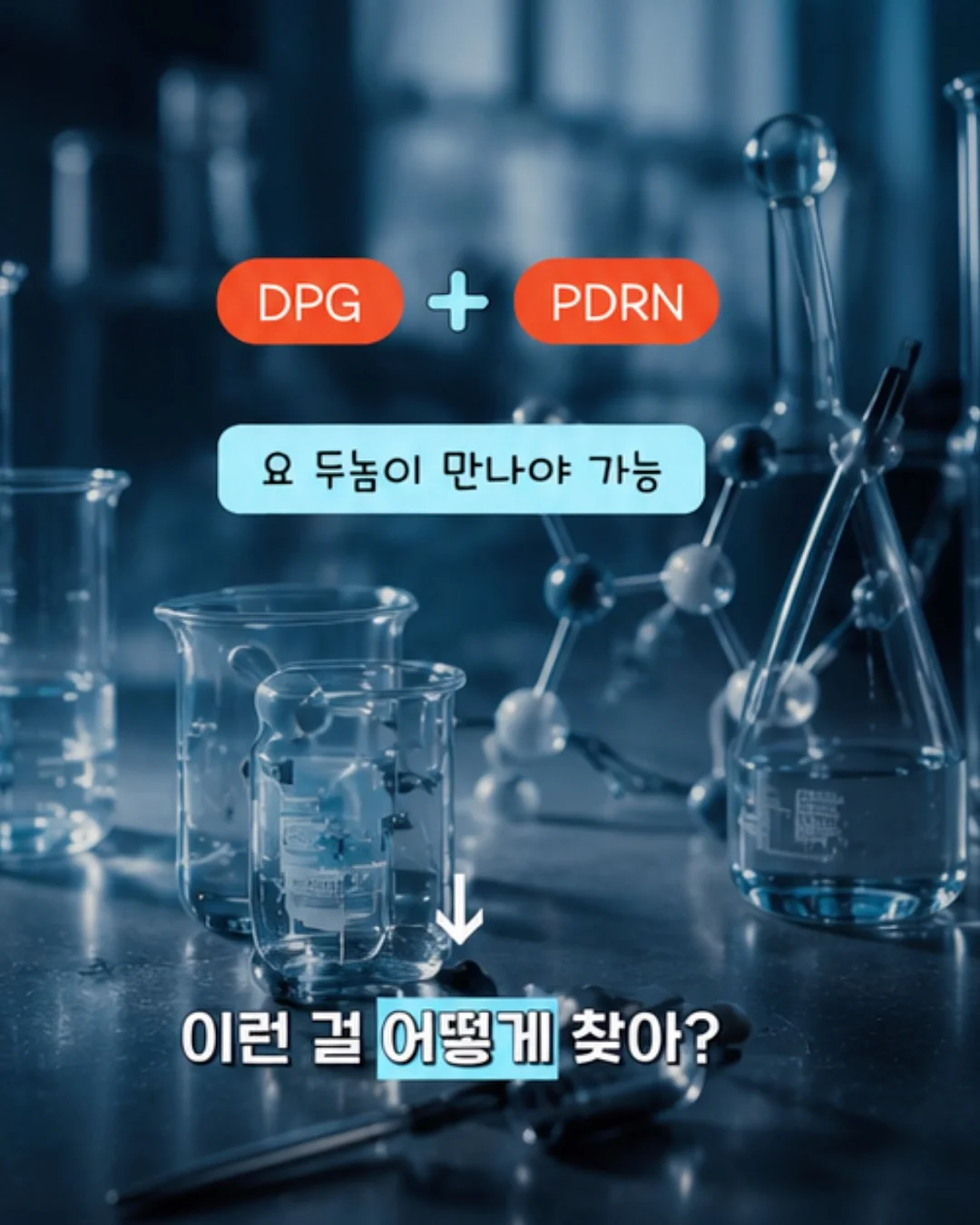 화병꽂이 5