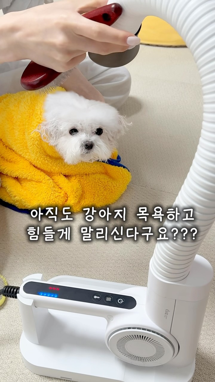 후방카메라 보호 필름