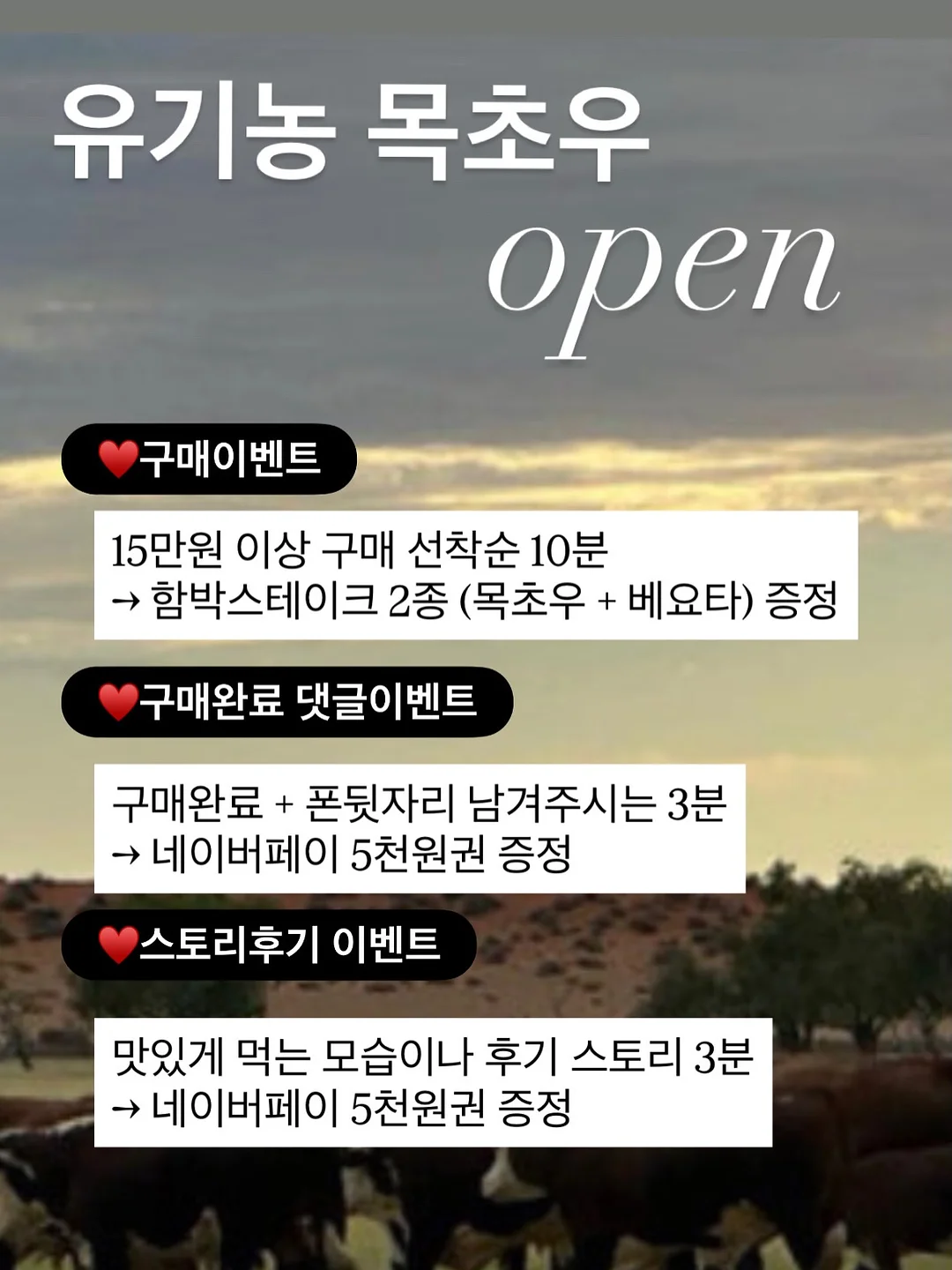 필수 단어 그림책 1