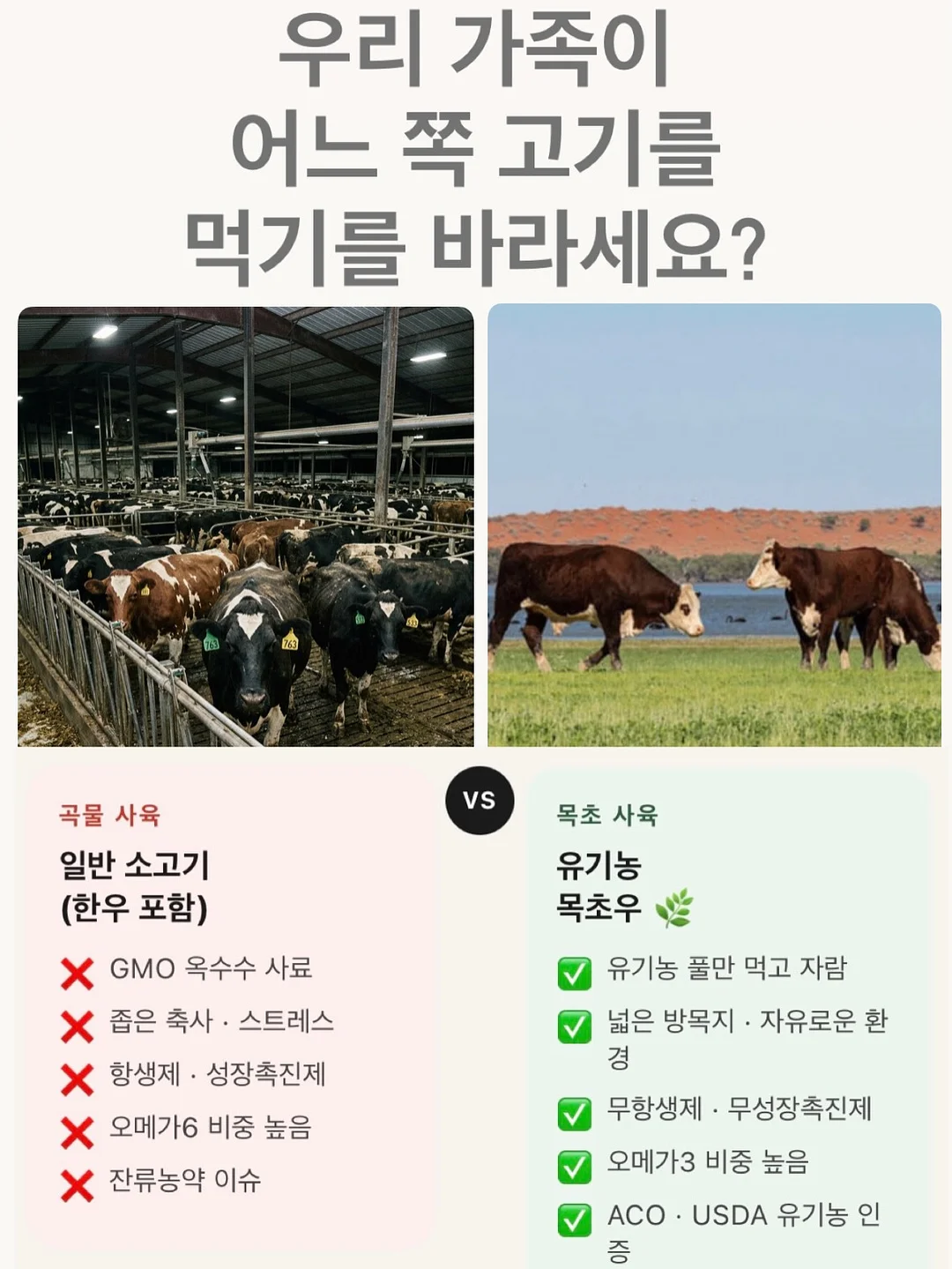 필수 단어 그림책 3