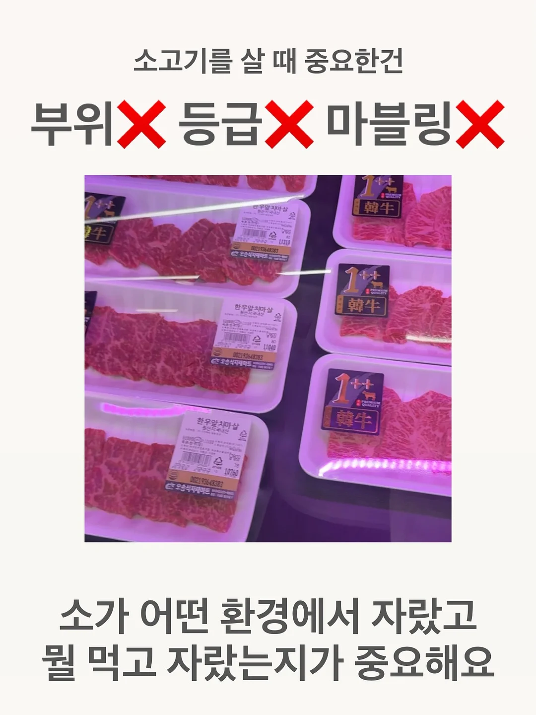 필수 단어 그림책 4