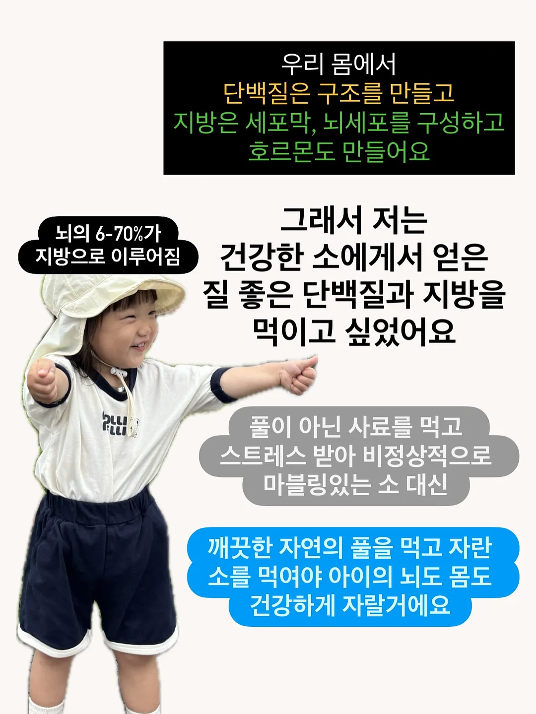 필수 단어 그림책 6