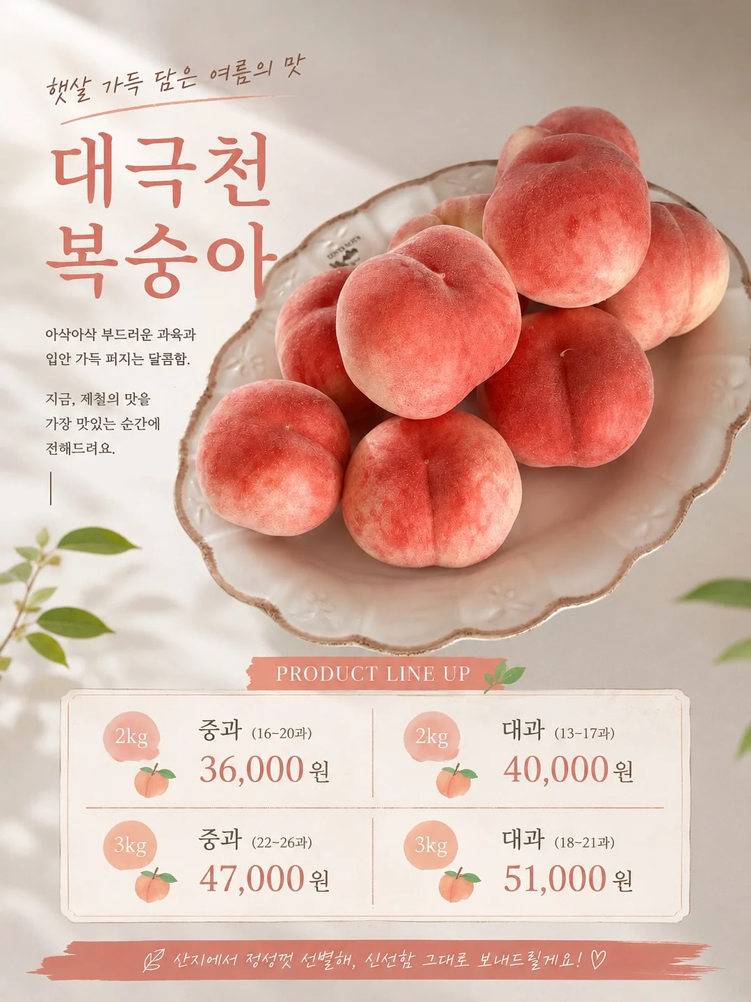 카고 스커트 2