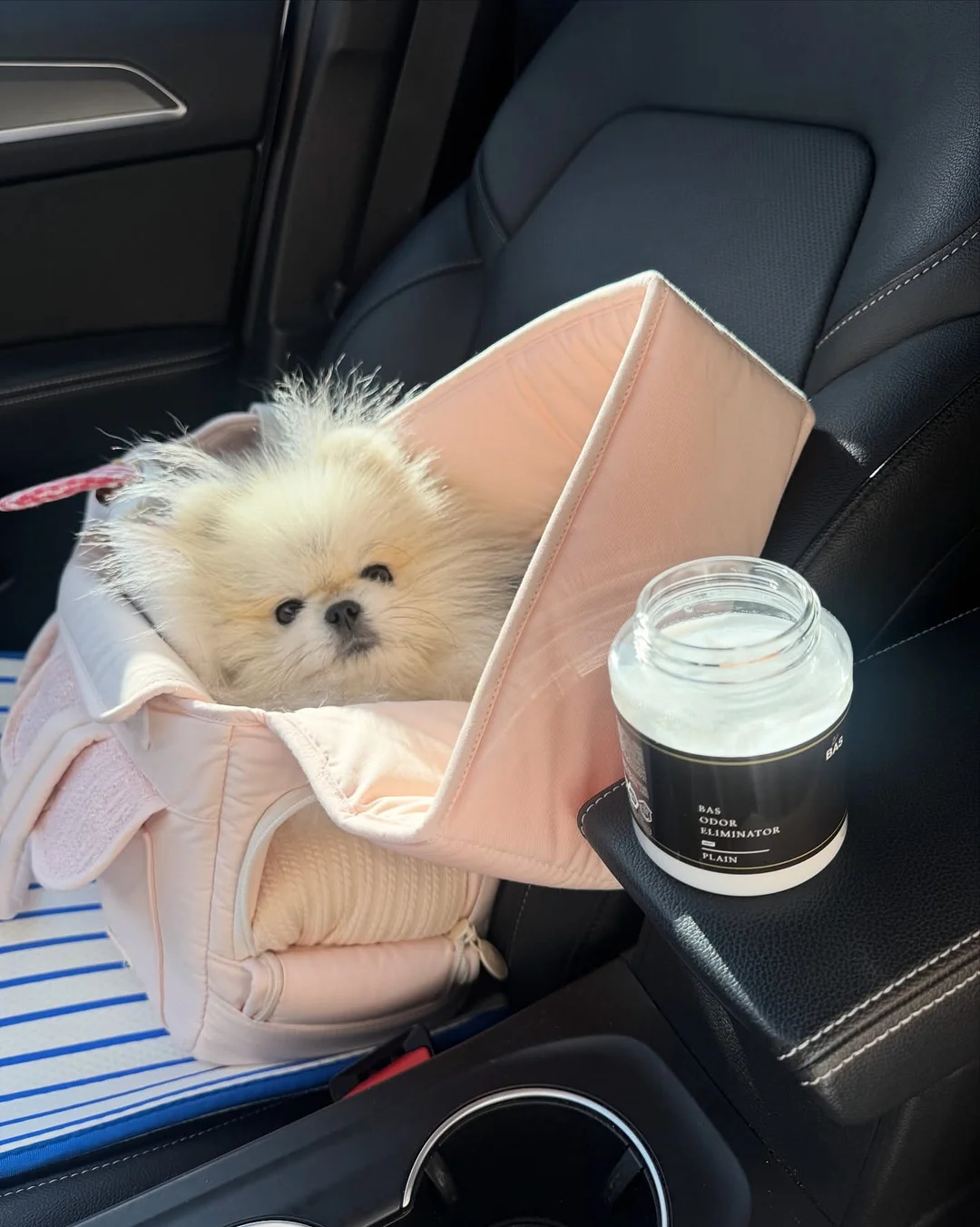 성적정정 이메일 양식 13
