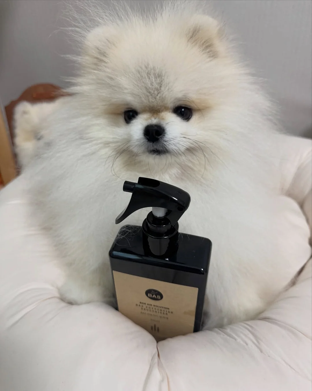 성적정정 이메일 양식 4