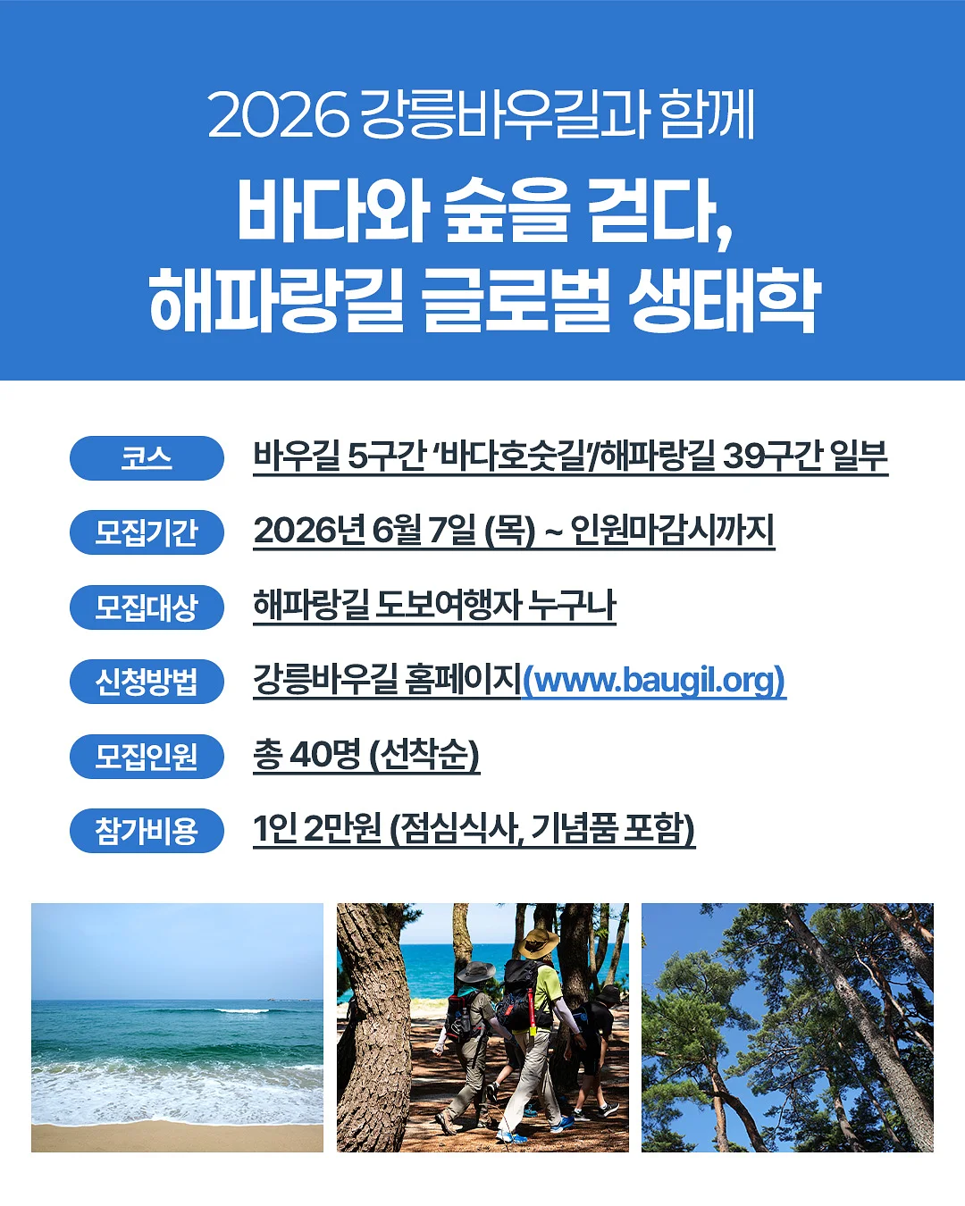 이케아 트롤리 수납함 2