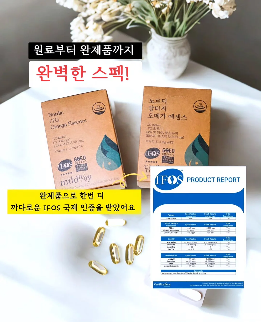 태연 임시보호 3
