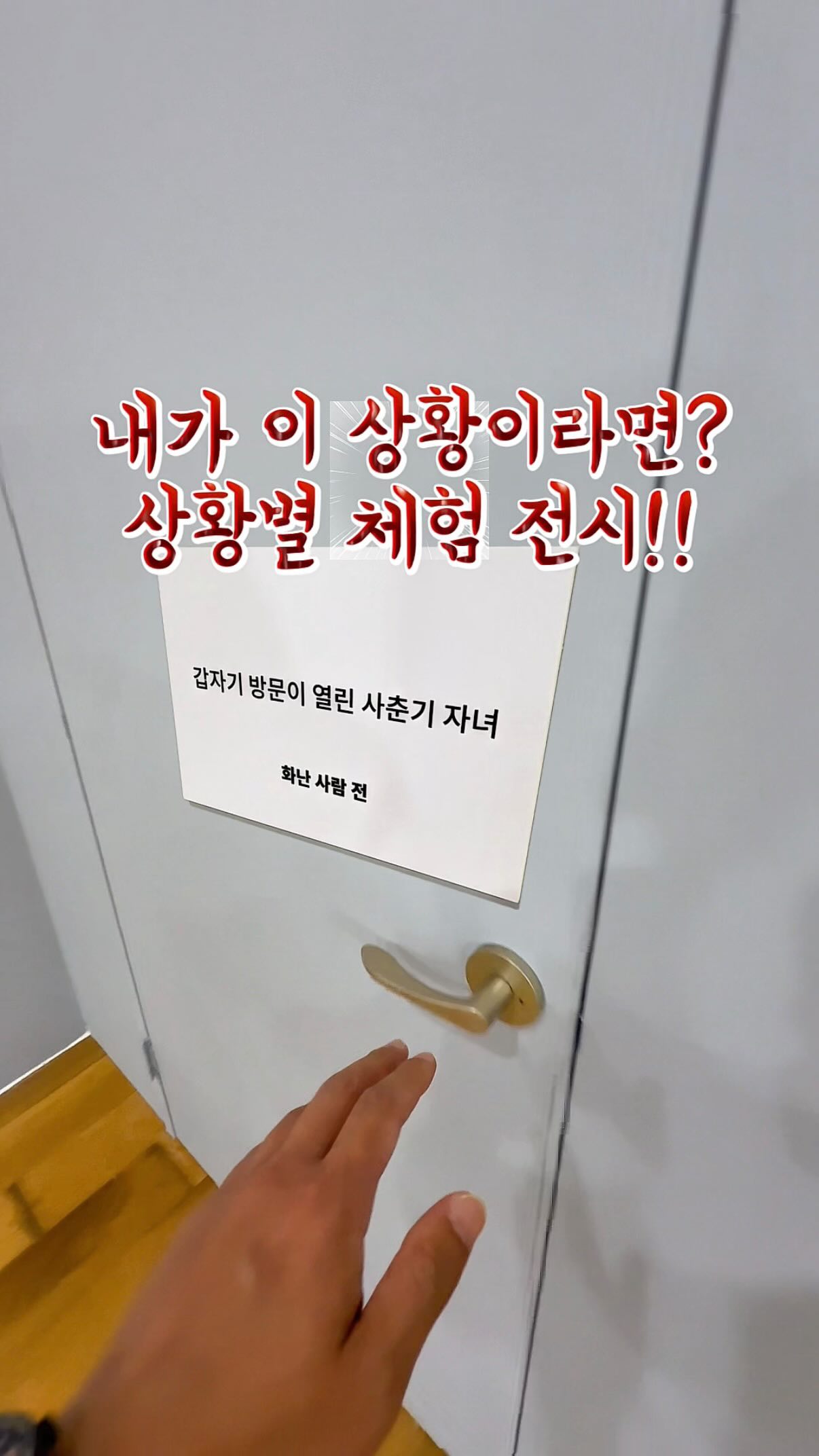 슈테른탈러 오르골 애착인형