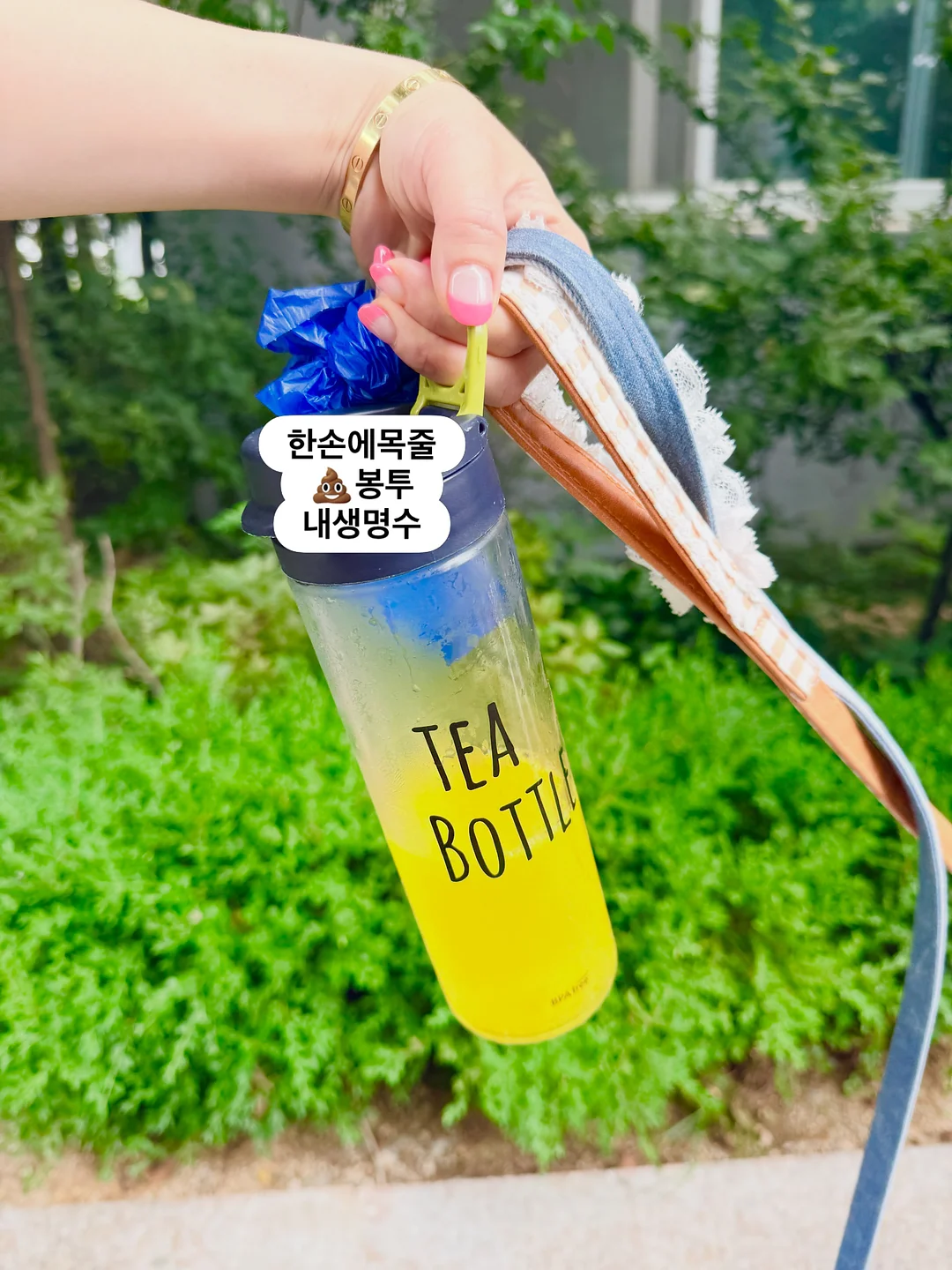 스터디 부스터 젤리 모로오렌지맛 3