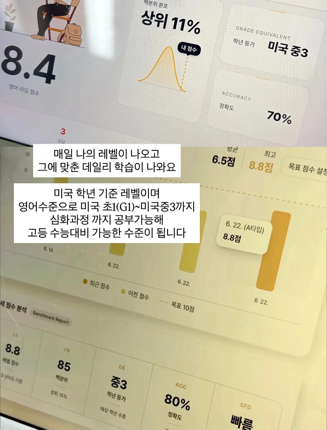 베네시안 브러쉬 화이트 11