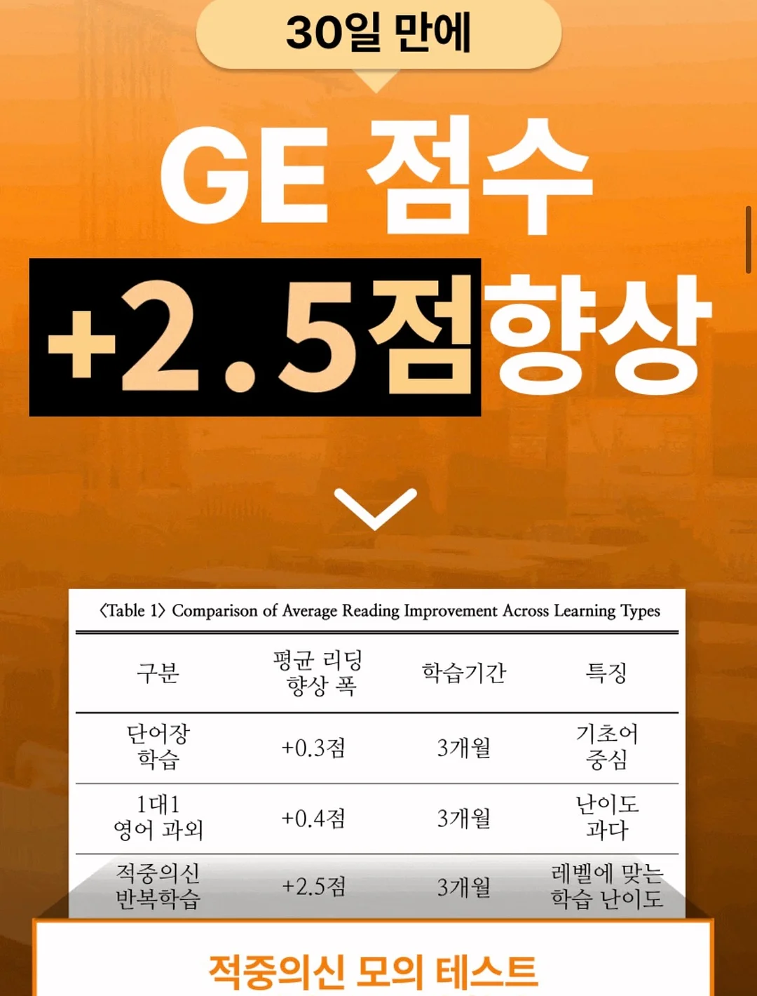 베네시안 브러쉬 화이트 13
