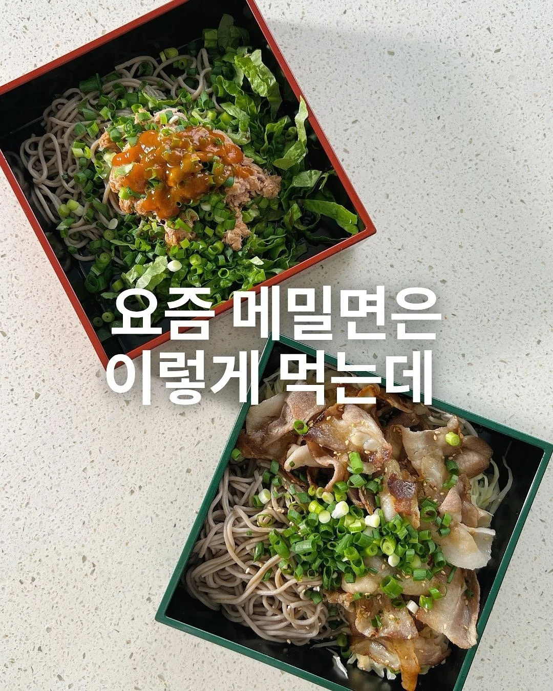 토니 티셔츠 세트 1