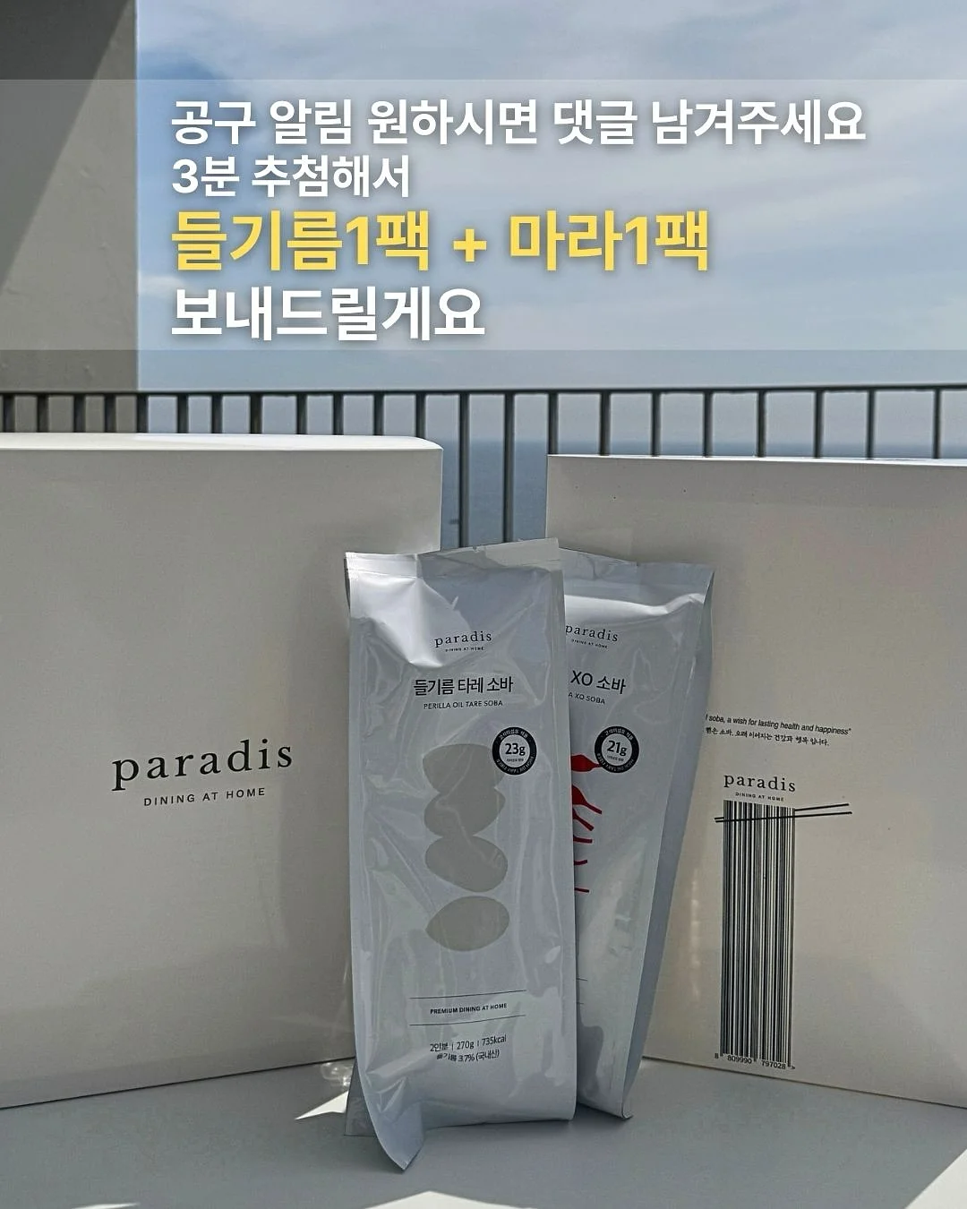 토니 티셔츠 세트 12