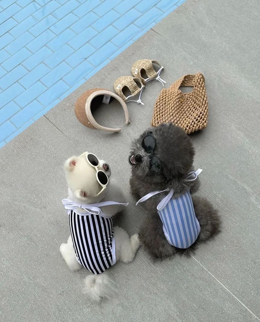 AMZ 아이라인 1