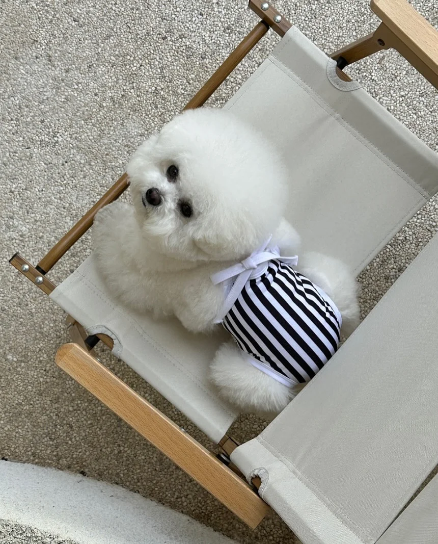 AMZ 아이라인 8