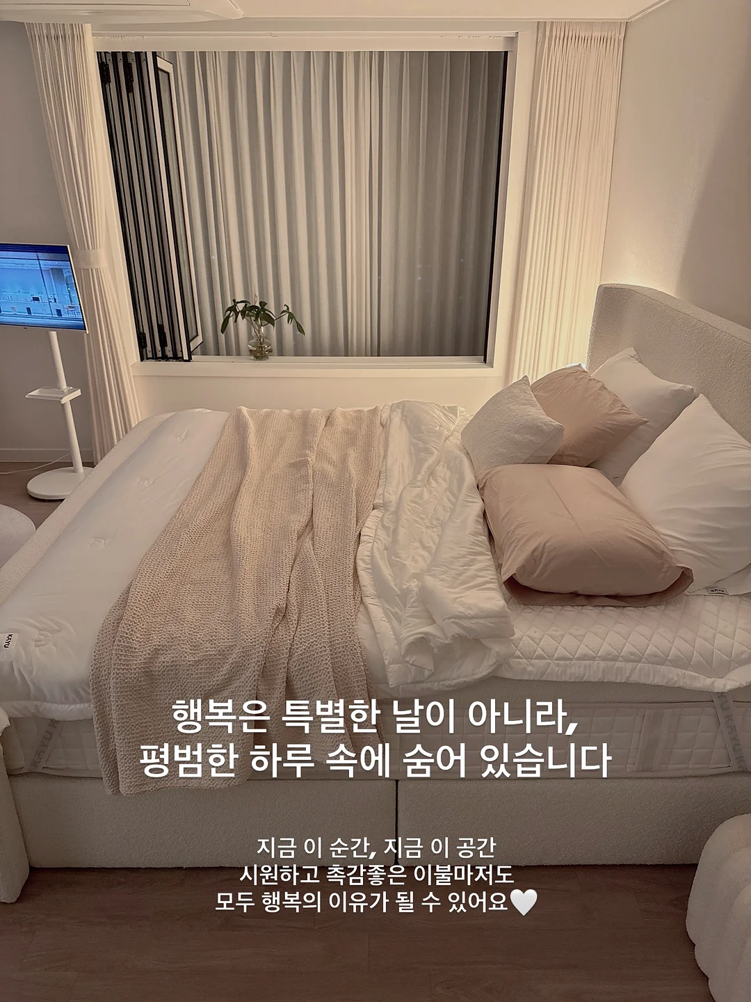 라라라 베이비 슈트 18