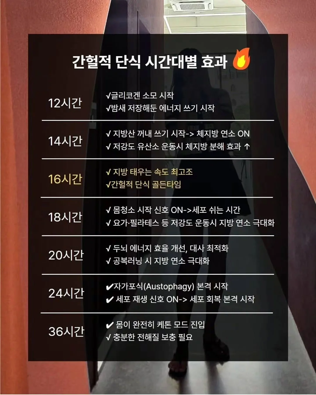아크테릭스 백팩 9