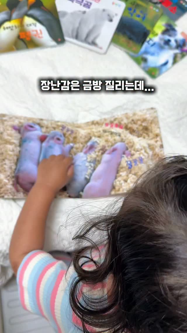 와이드 웨이스트 플랩 디자인 세미 부츠컷 팬츠