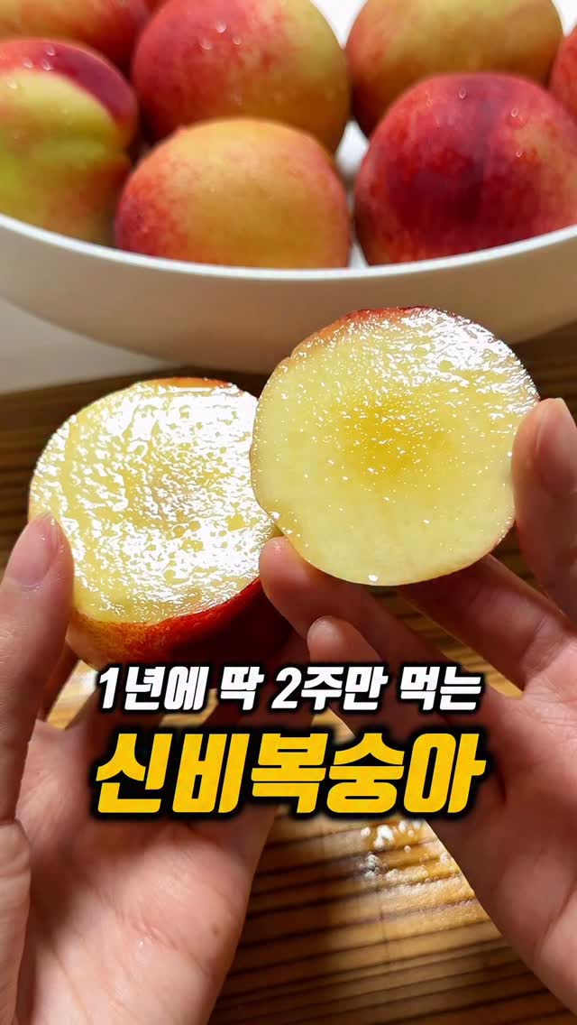 스톤 사각패치 반팔 올리브