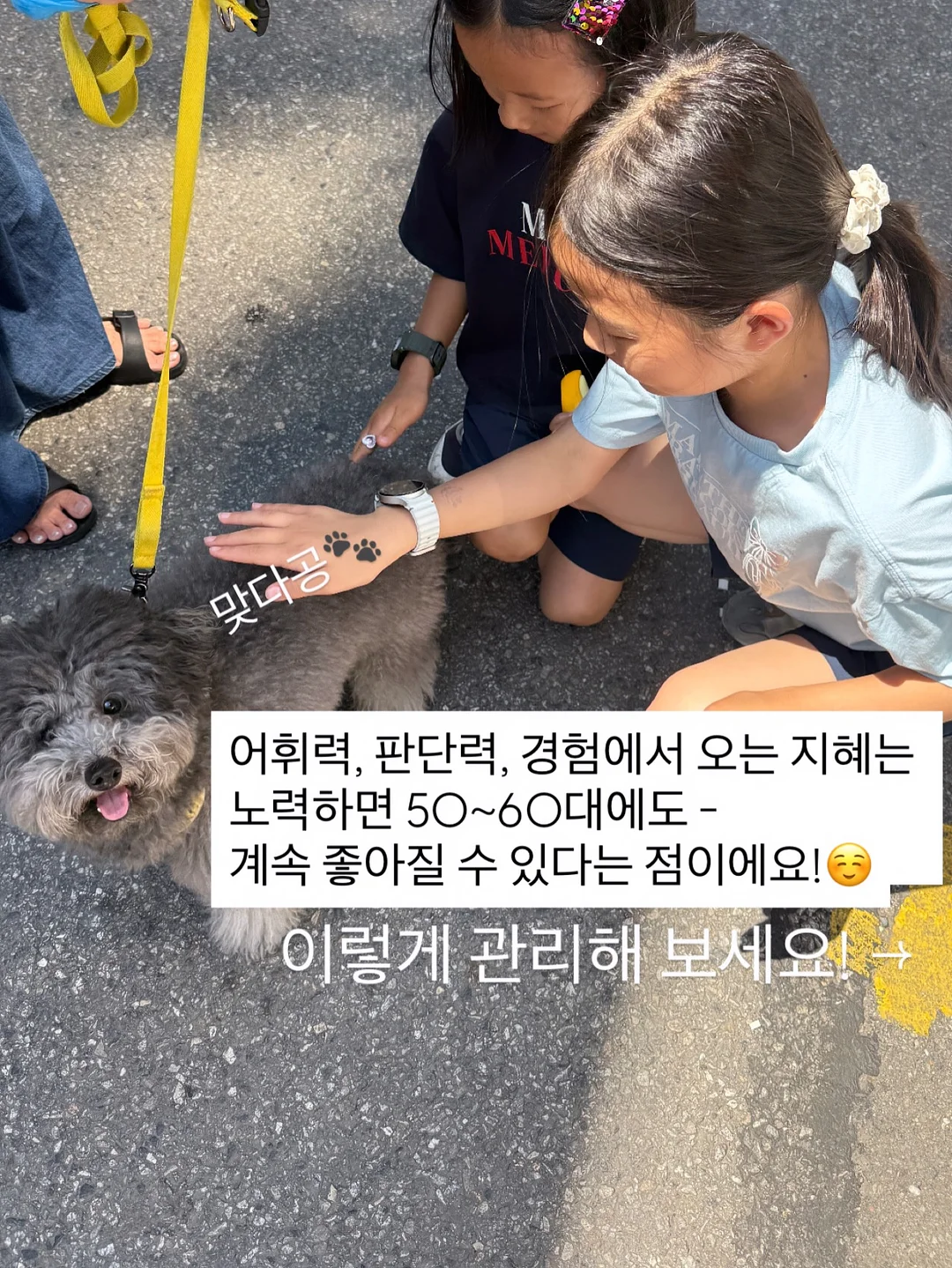 몽제 딥슬립 매트리스 5