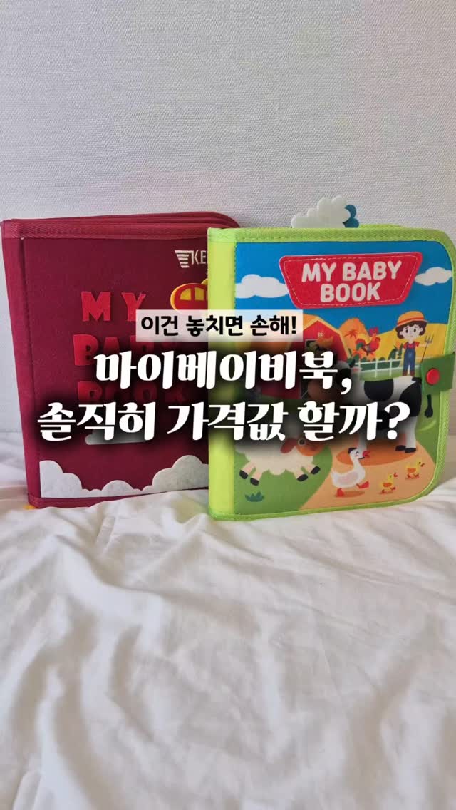 곤충채집 세트
