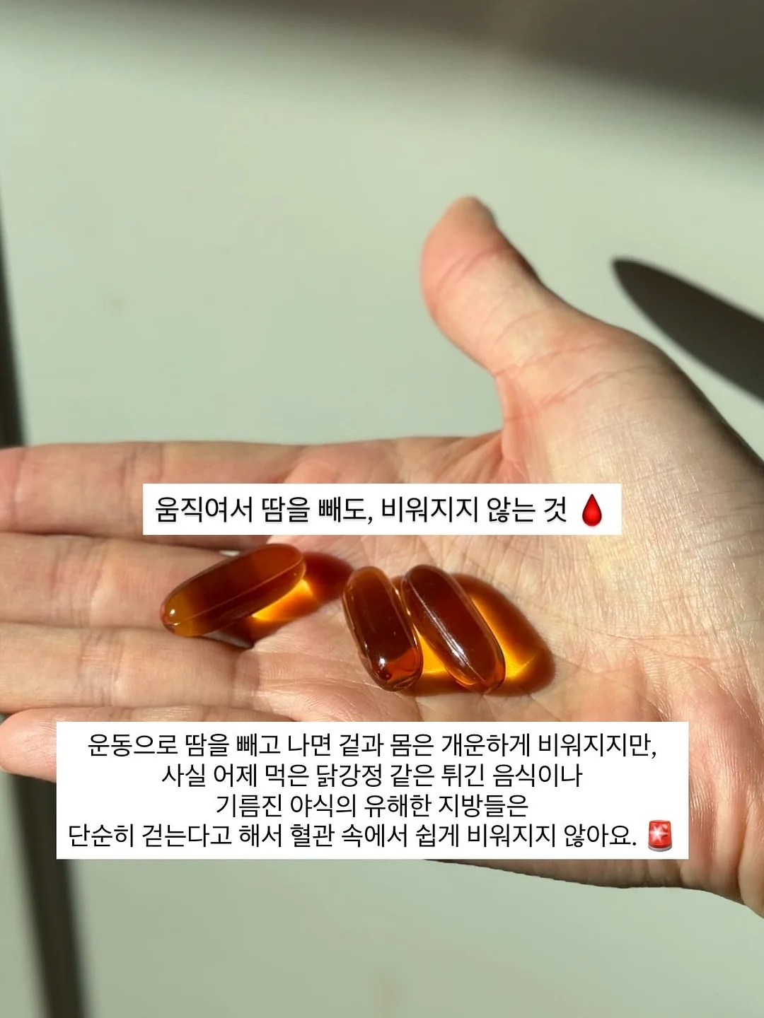 망고스틴 5