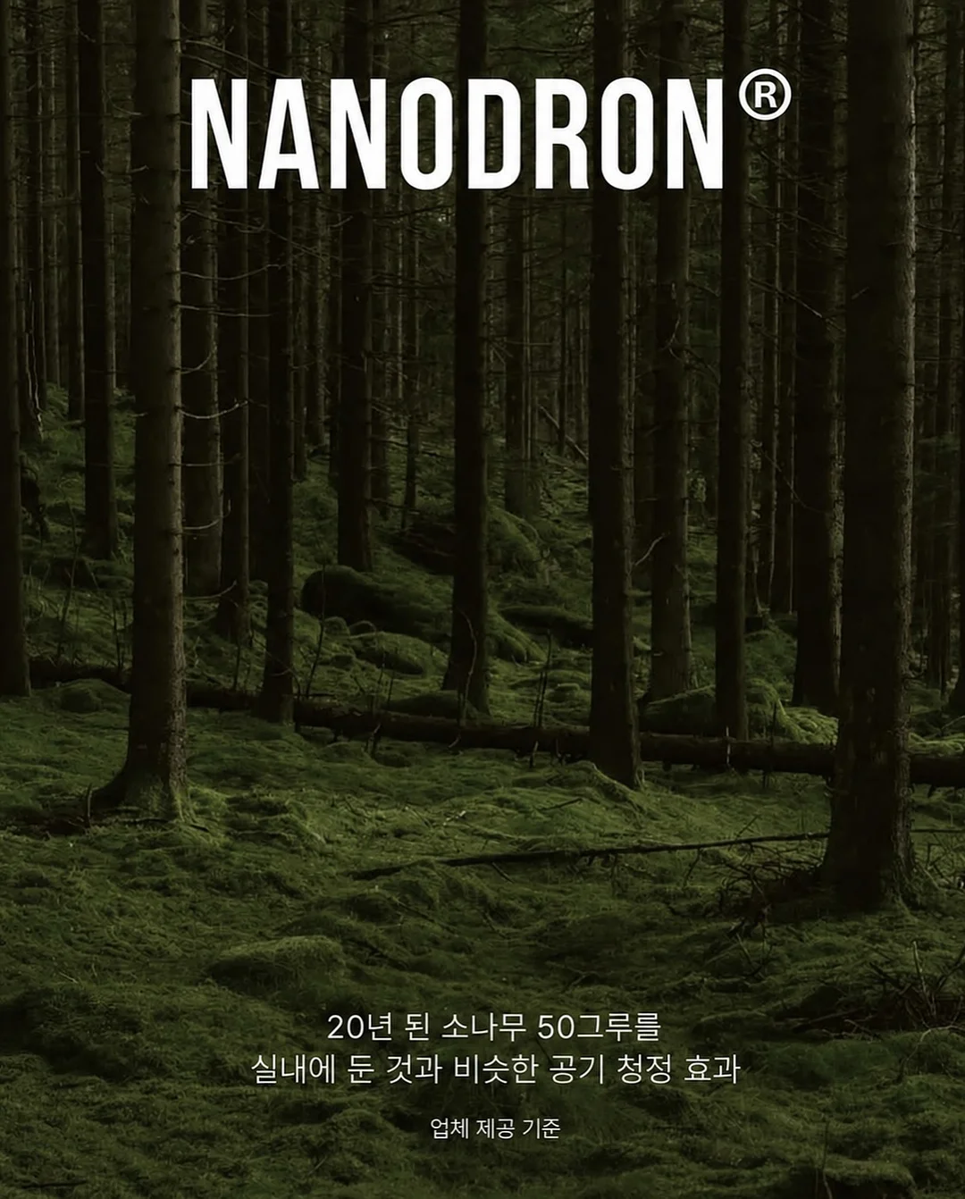 여름 코디 5