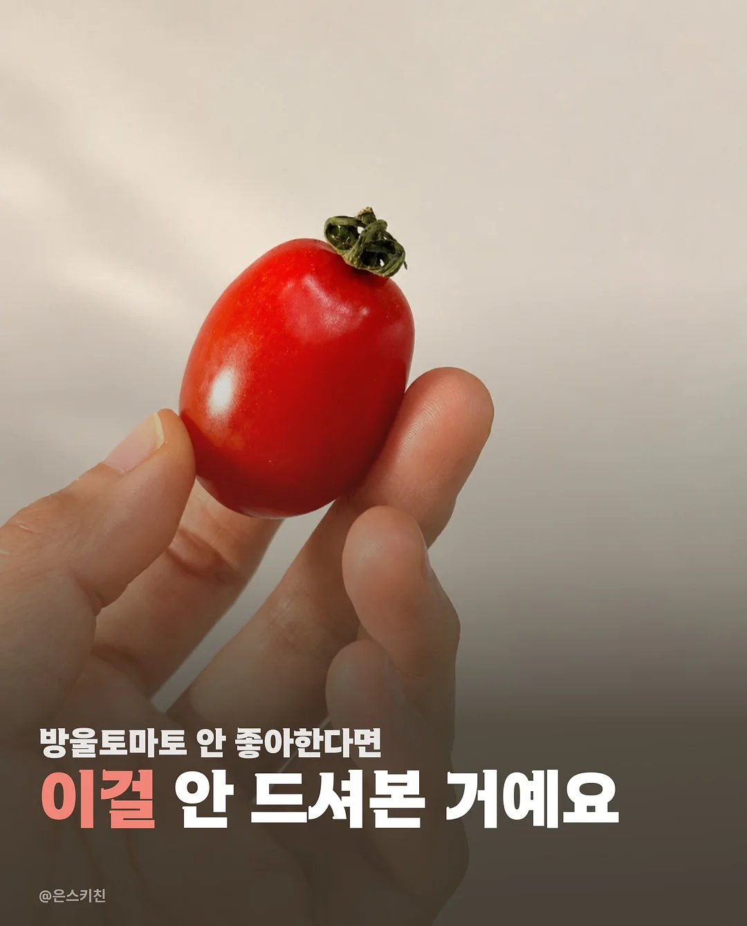 Warriors 그래픽 노블 1