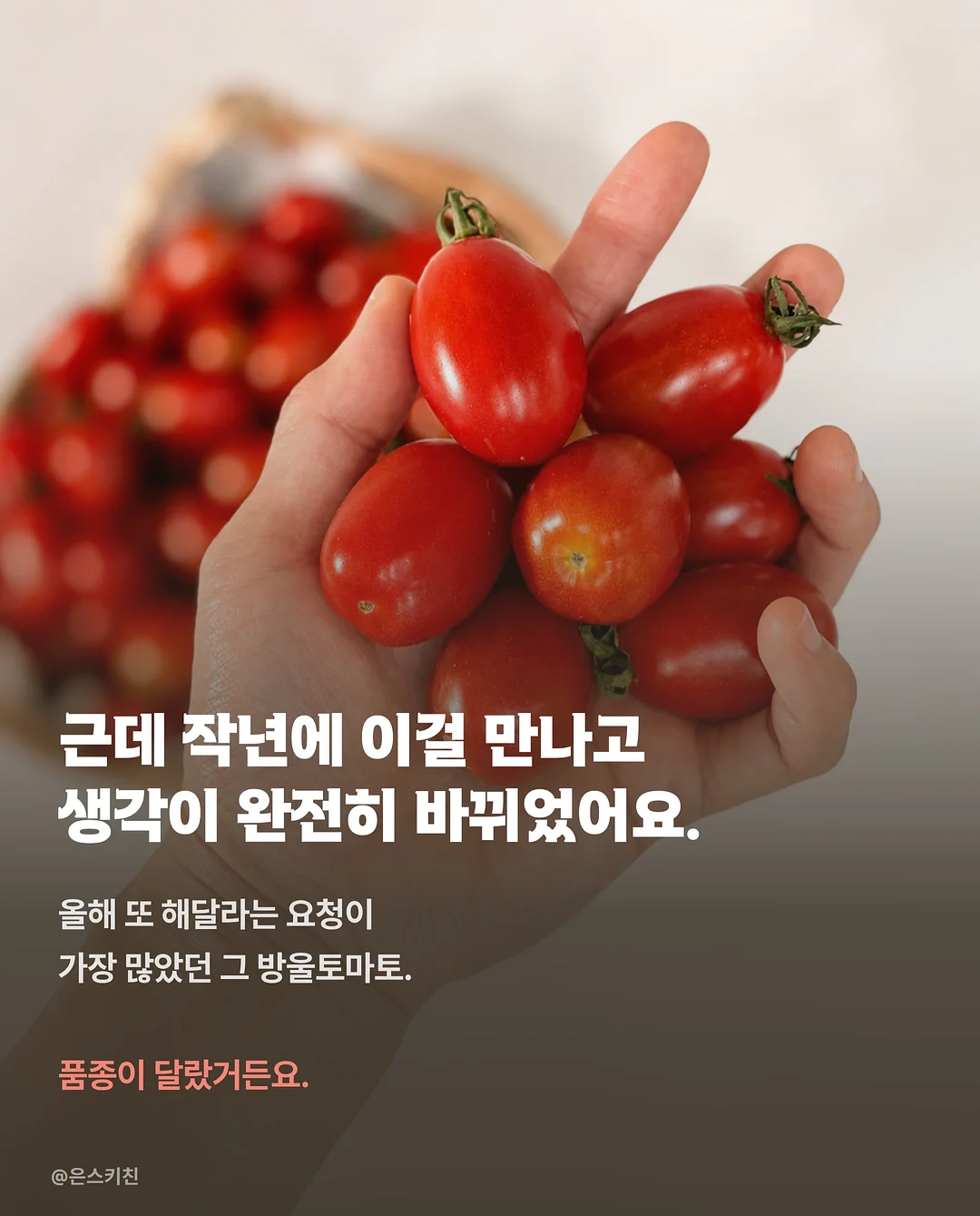 Warriors 그래픽 노블 3