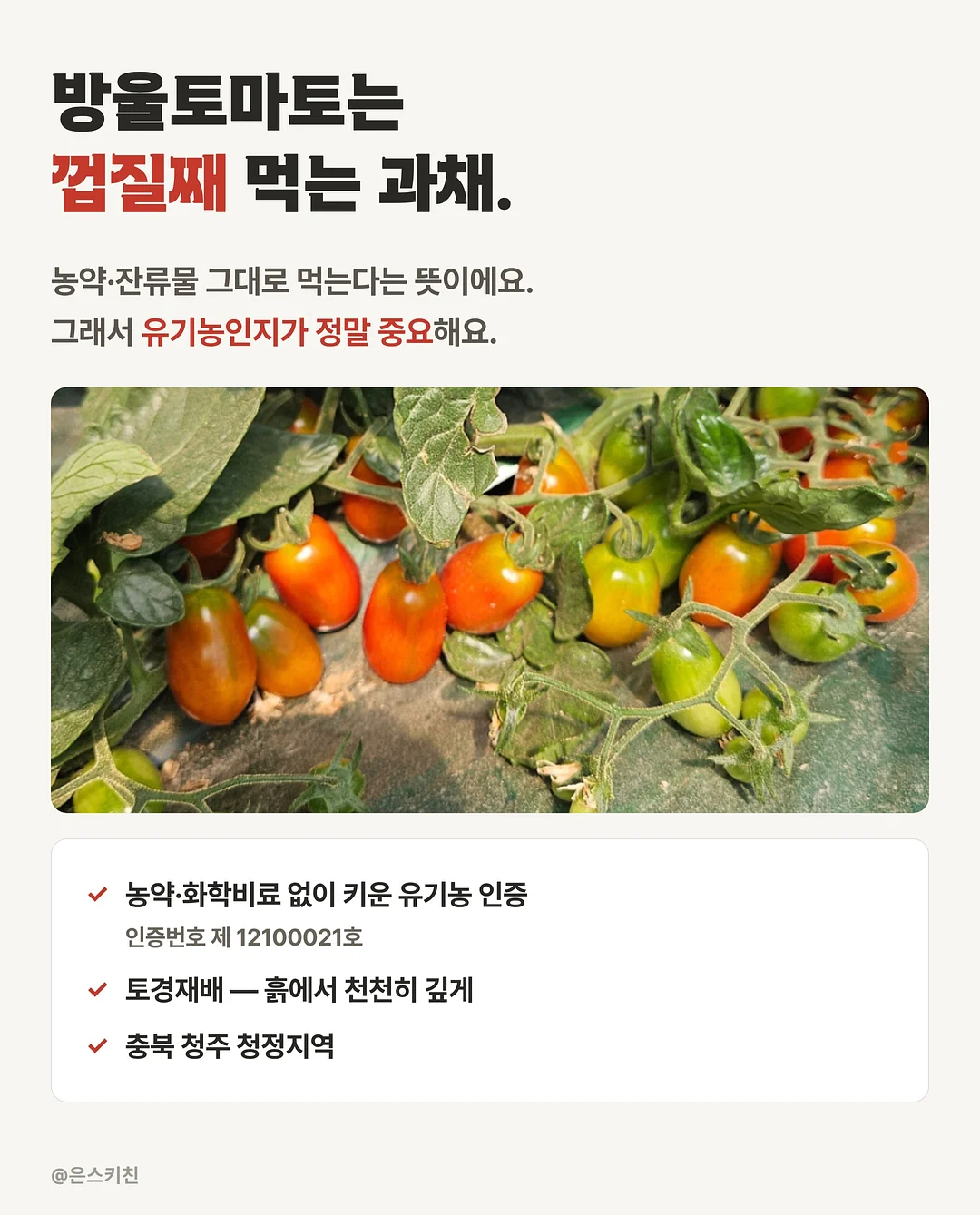 Warriors 그래픽 노블 6