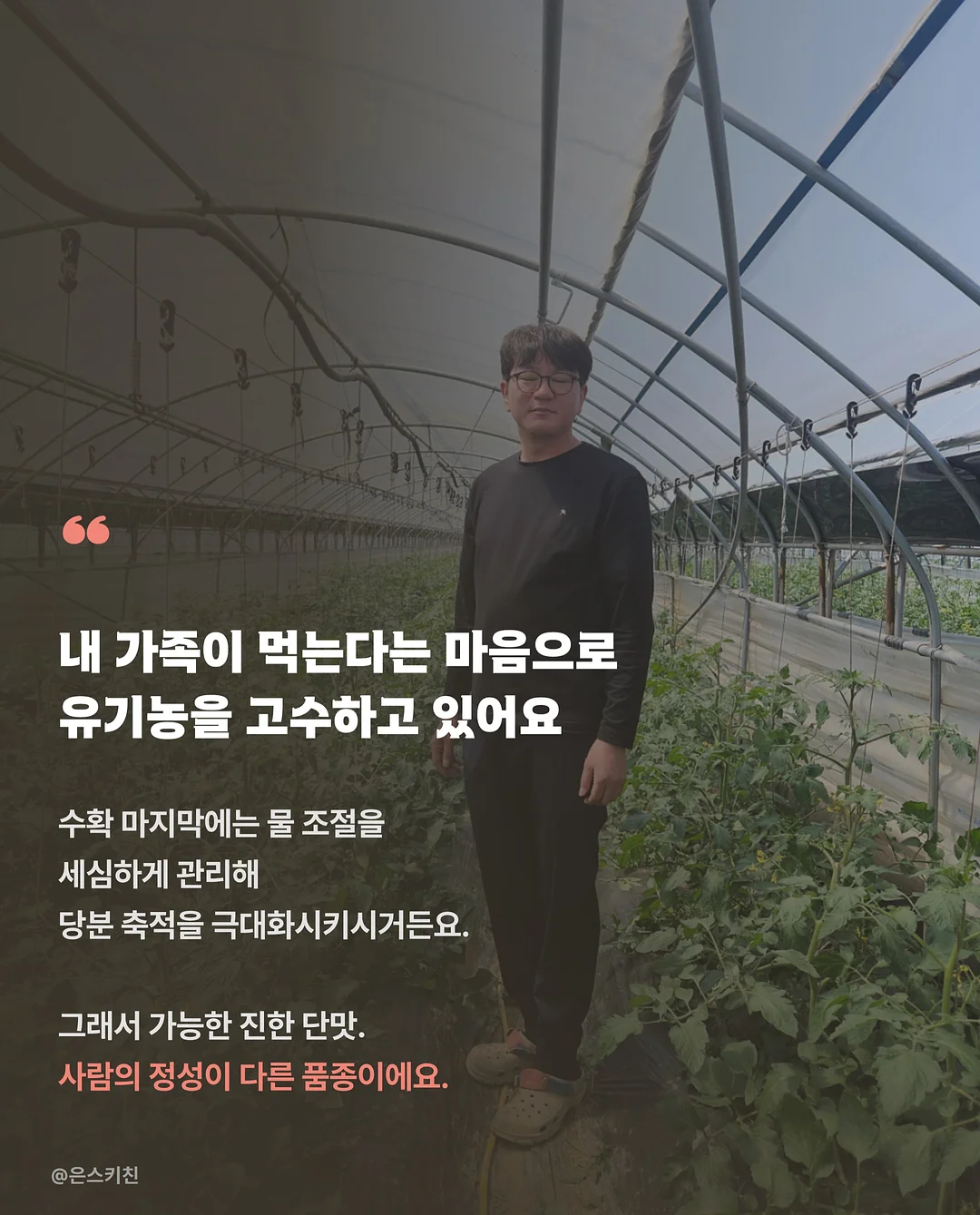 Warriors 그래픽 노블 7