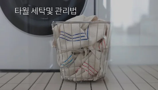 메디컬오 프로그램 2