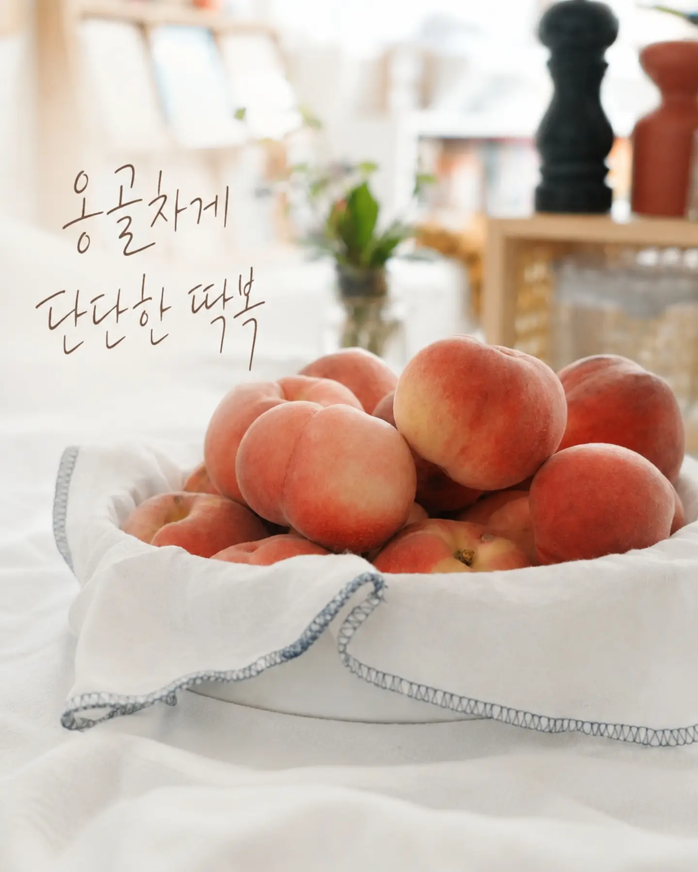 할리카터 롤링카트 2