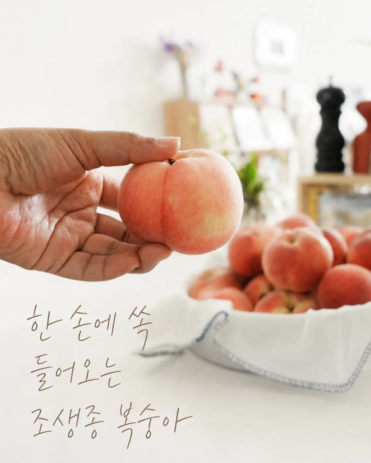 할리카터 롤링카트 3