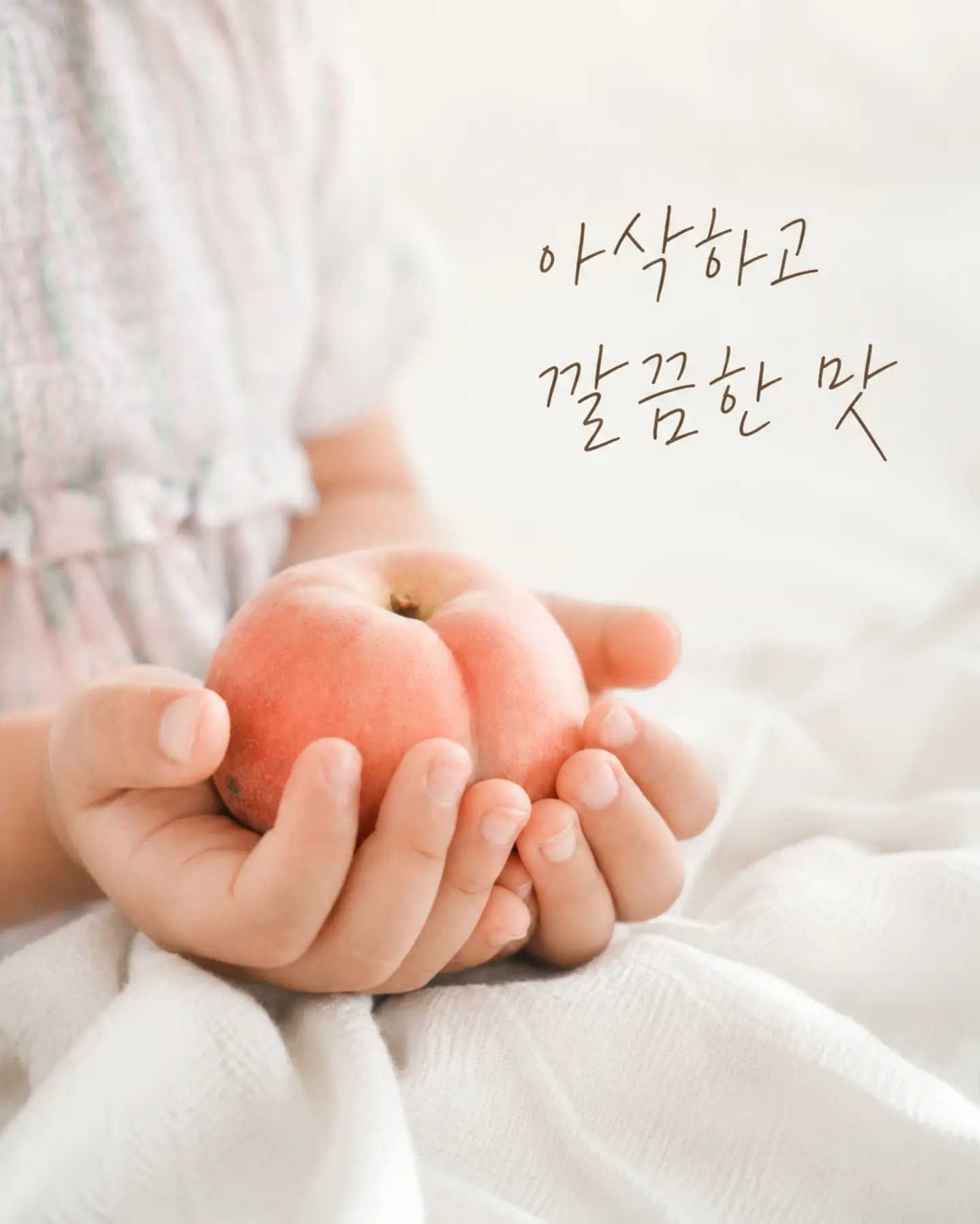 할리카터 롤링카트 4