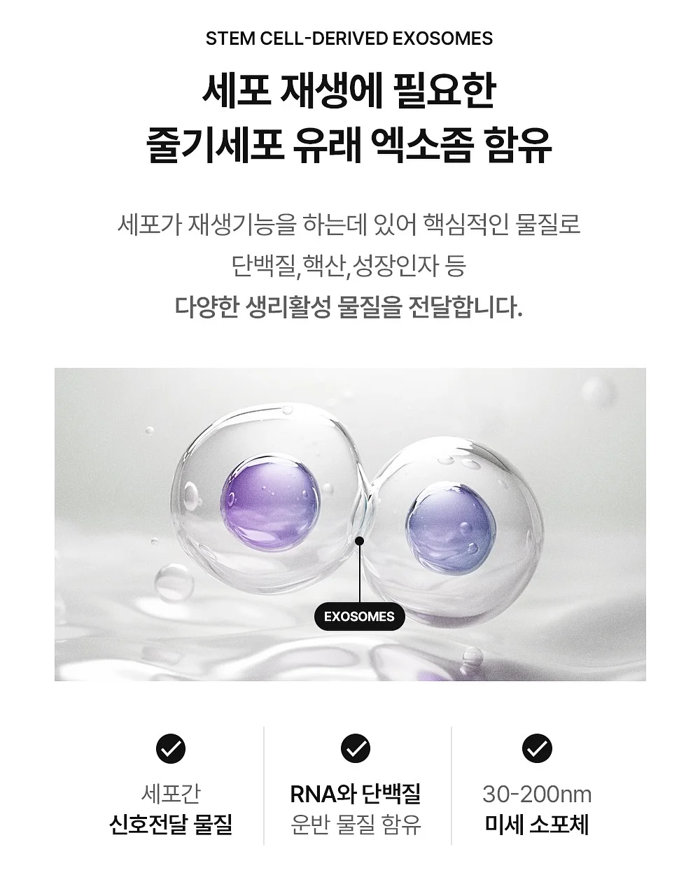 로이츠 단백질 베이글 3