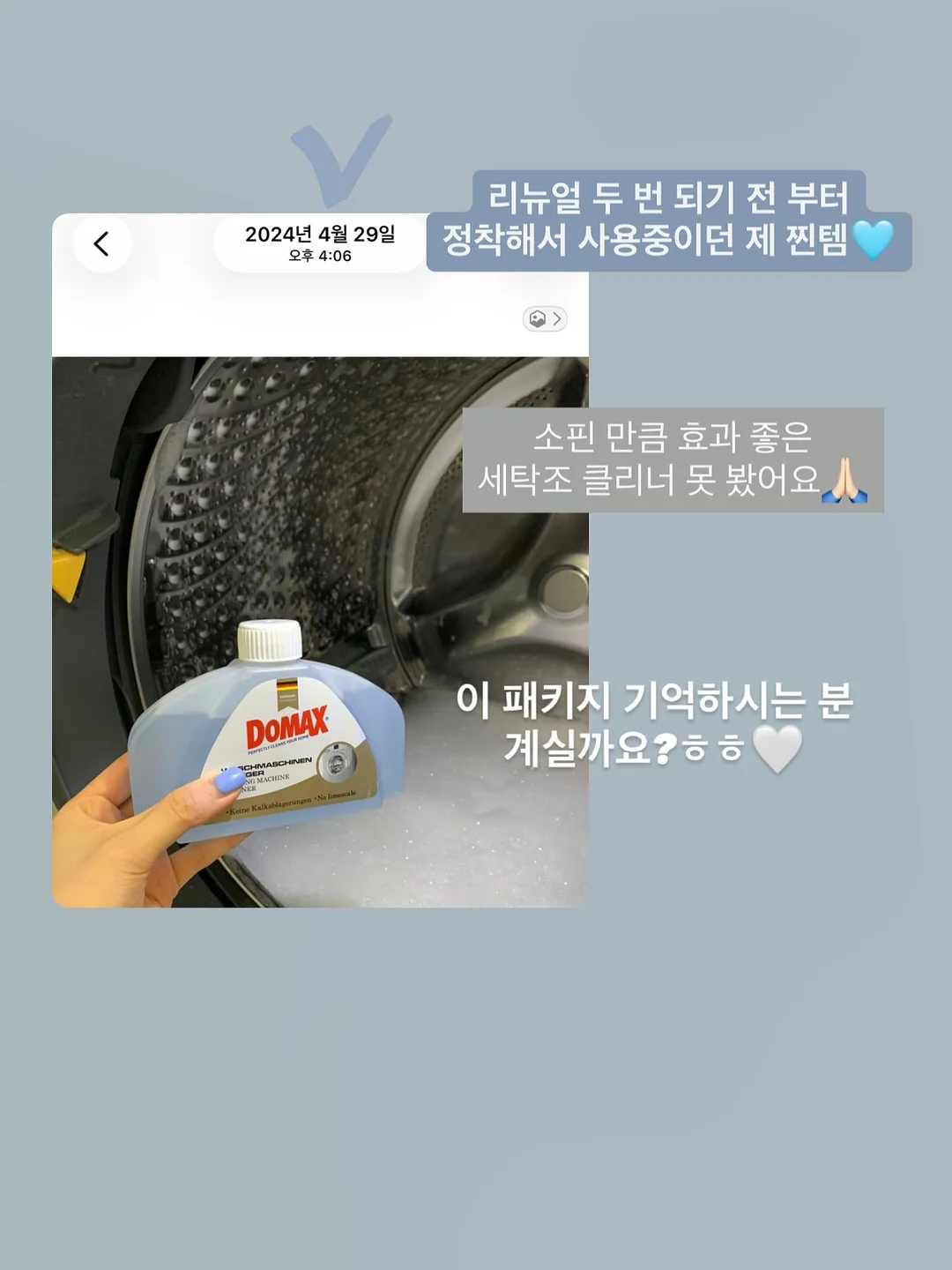 큰동물케이크 11