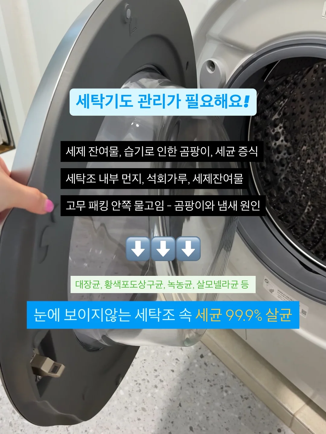큰동물케이크 12