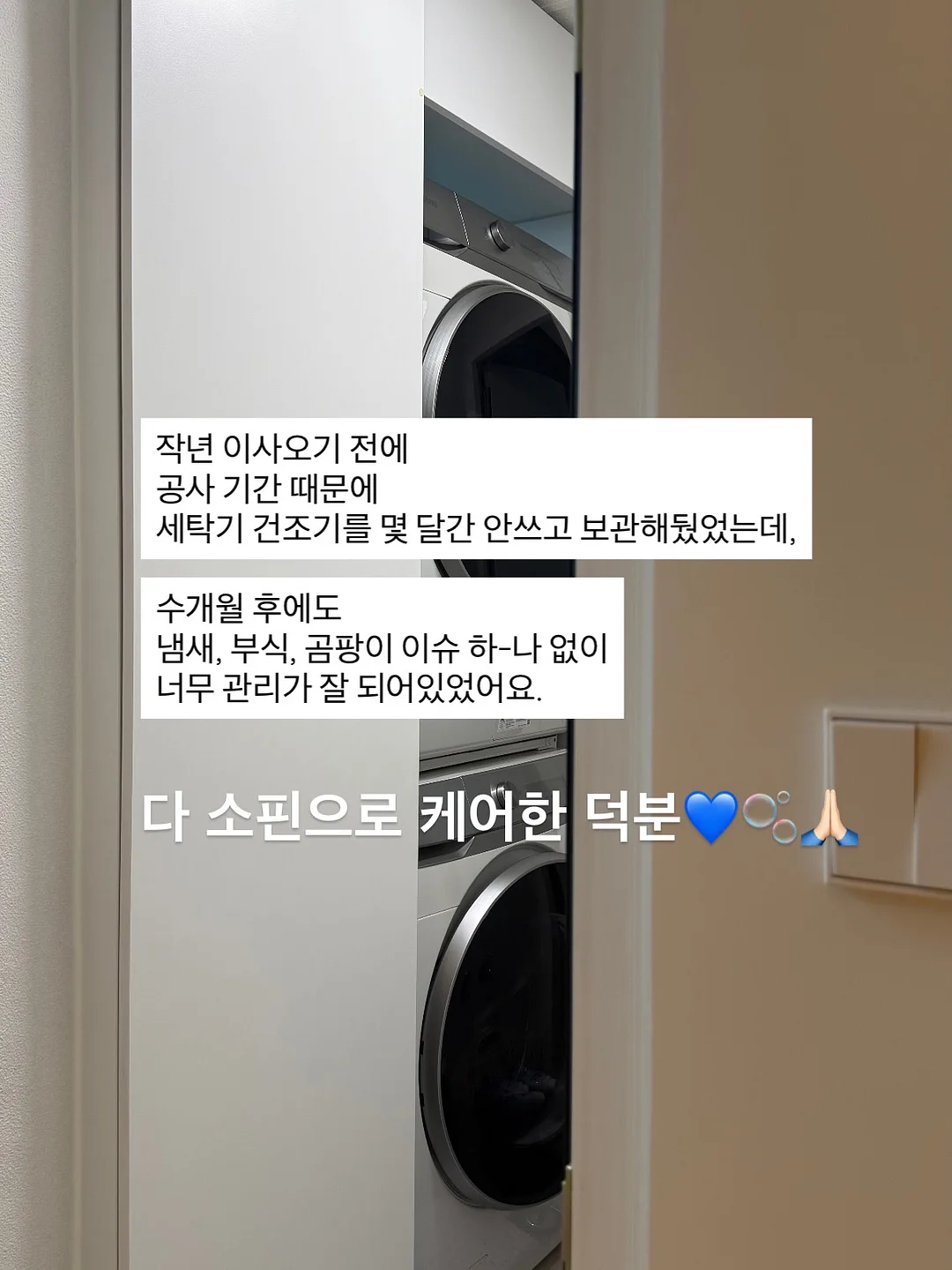 큰동물케이크 15