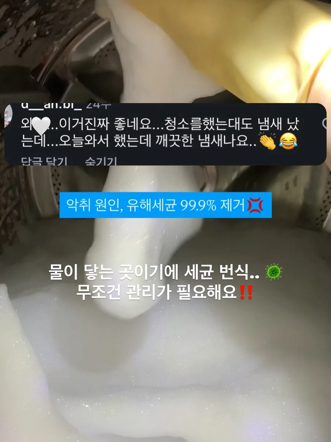 큰동물케이크 16