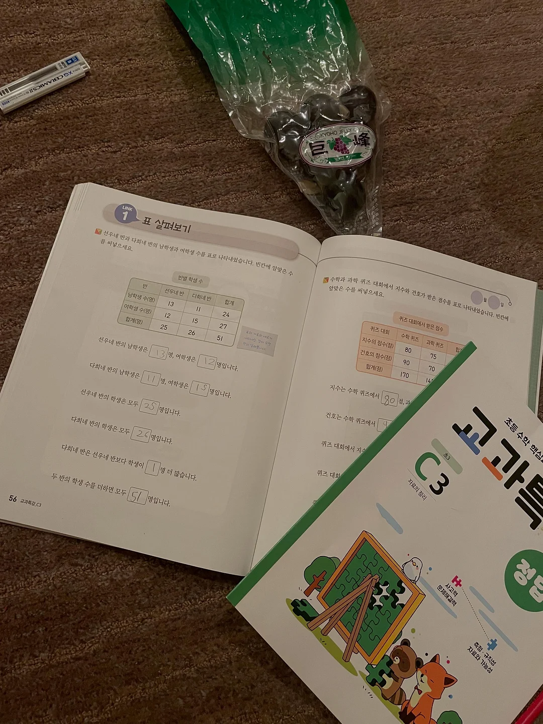 모노핏 맞춤 폴더매트 8