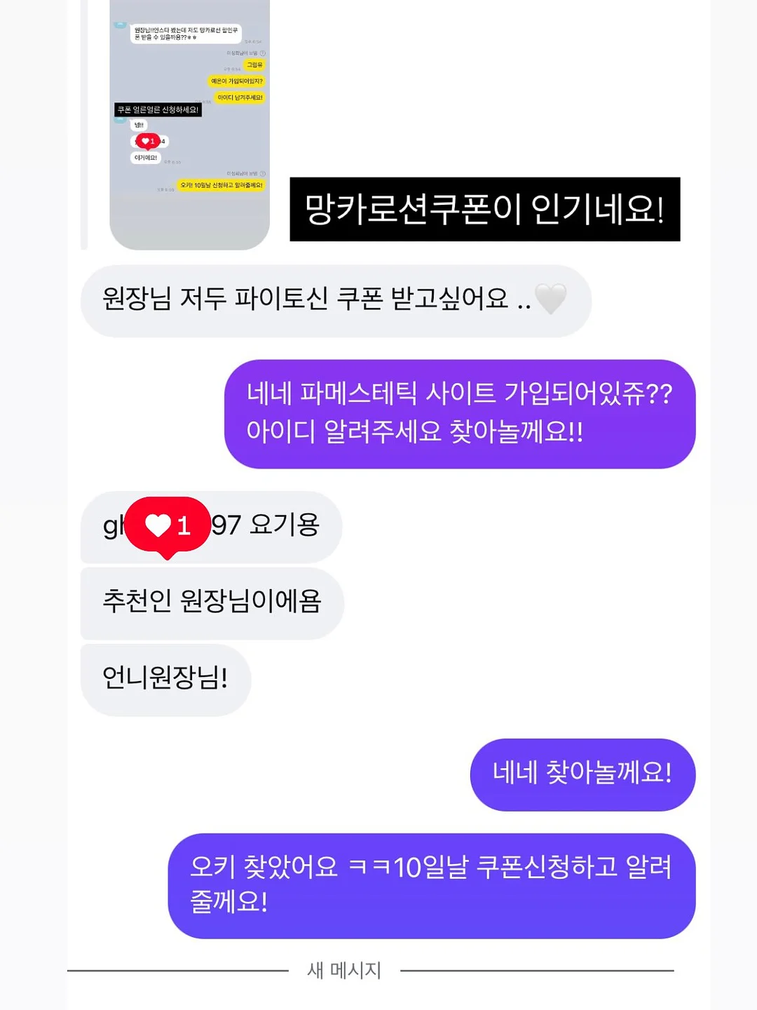더보우 에코백 15