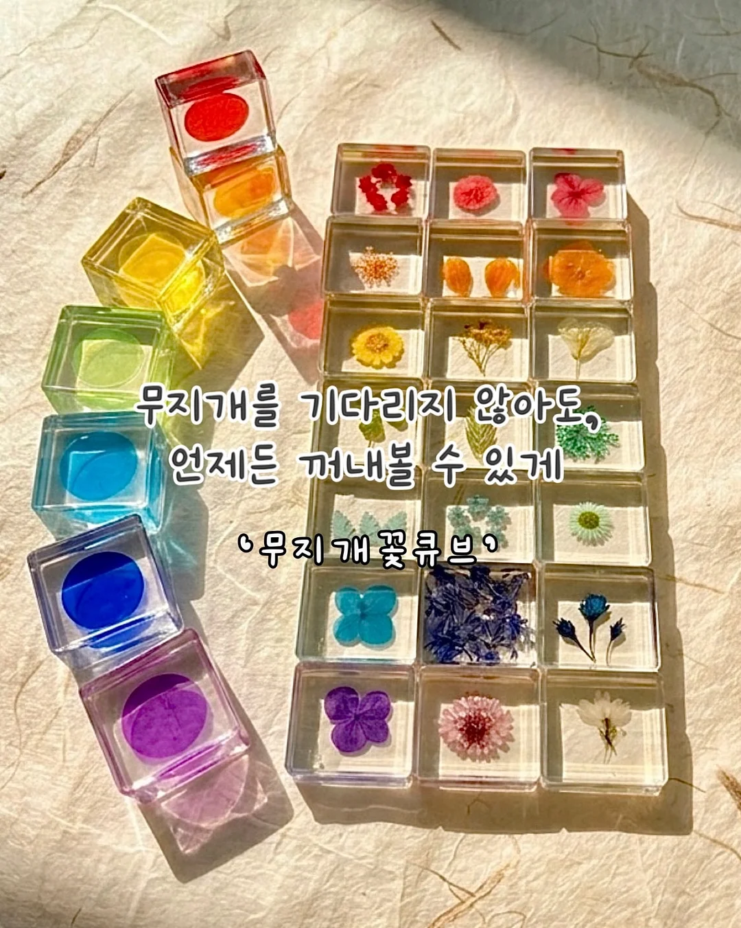 머슬핏 코디 1