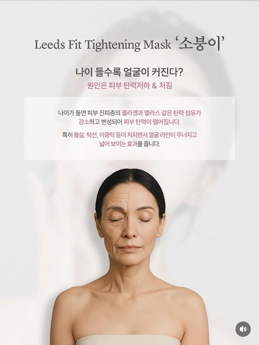 포켓몬 에디션 2
