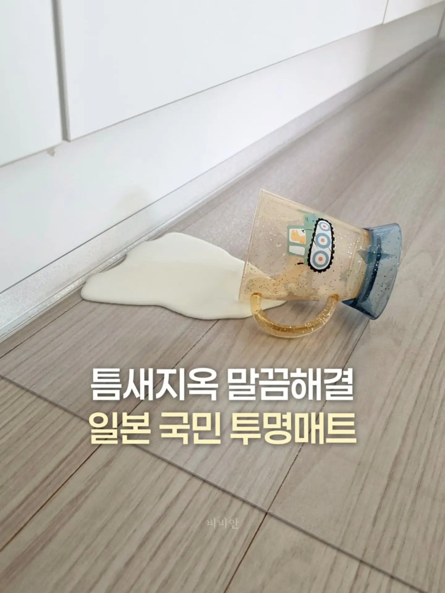 소나무분재 1
