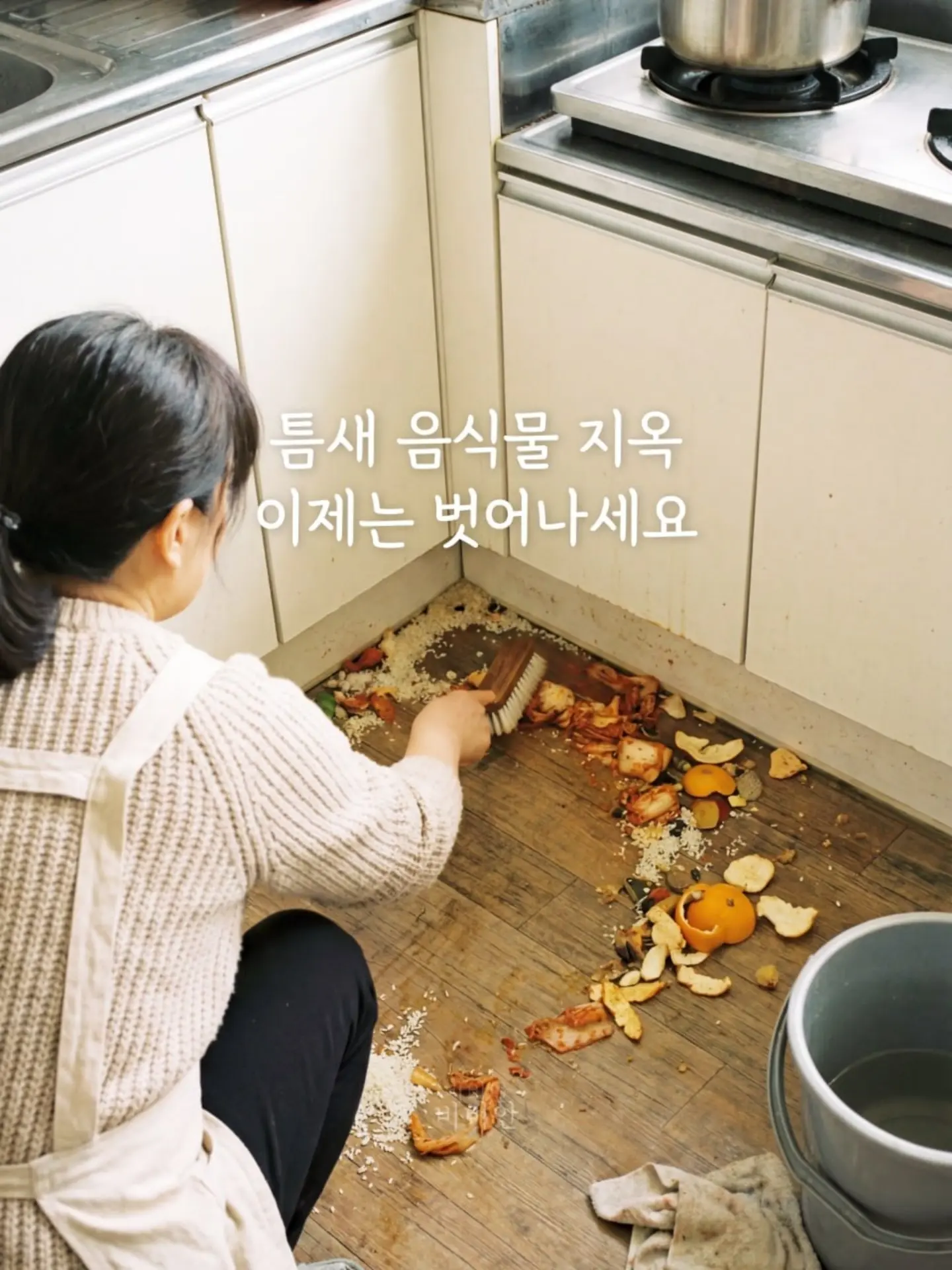 소나무분재 2