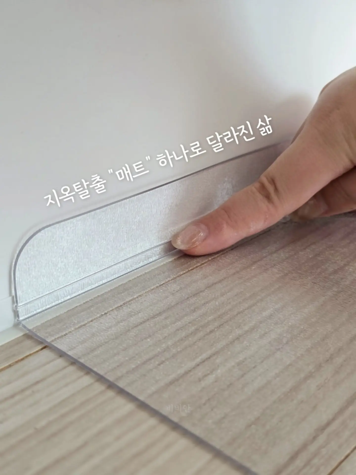 소나무분재 3