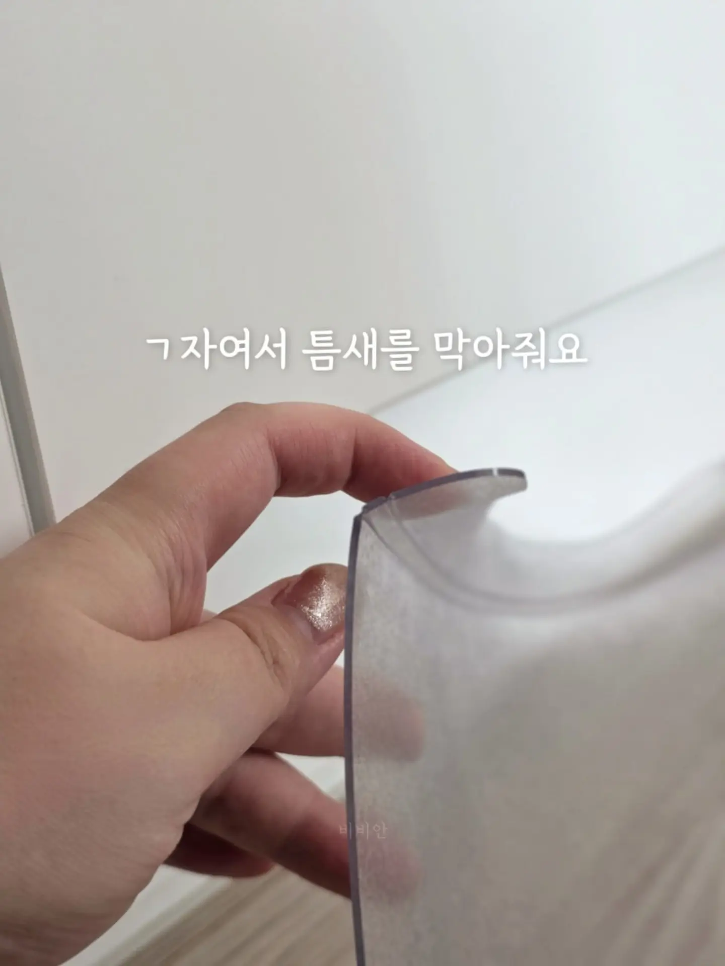 소나무분재 4